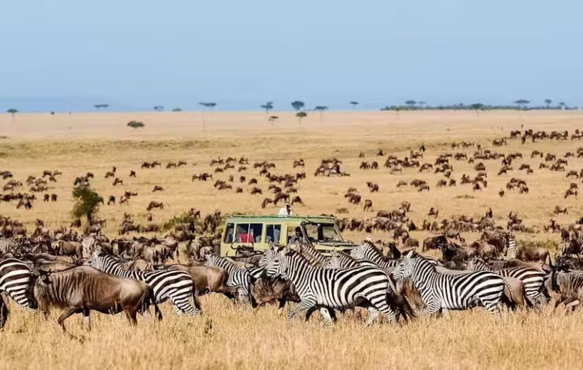 7 Days Kenya and Tanzania Safari