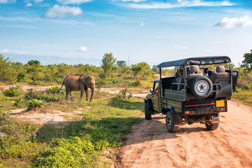 How to Experience the Magic of a Kenya Safari in February