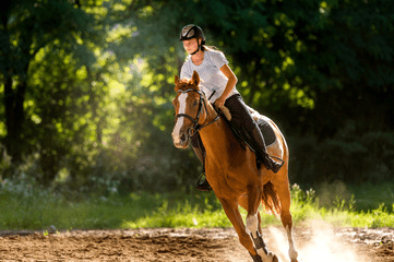 Horseback Safari Bantu Mountain Lodge